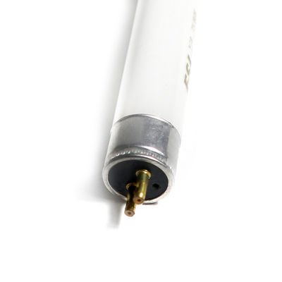 5w T5/8W Lampada per DRAGONE D'ORO HIGER KING LONG ZHONGTONG ANKAI Parti per autobus 3755-00032